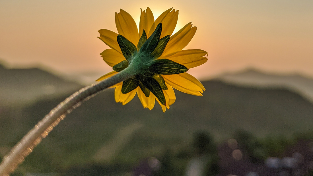 Embracing Change: Thriving Through Life's Transitions in Your 40s